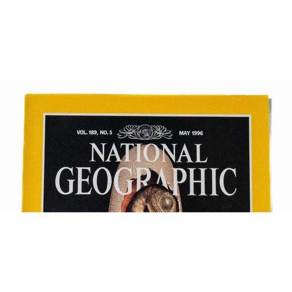 National Geographic May 1996 Dinosaur Eggs Cover Vol 189 No 5 - Picture 2 of 10